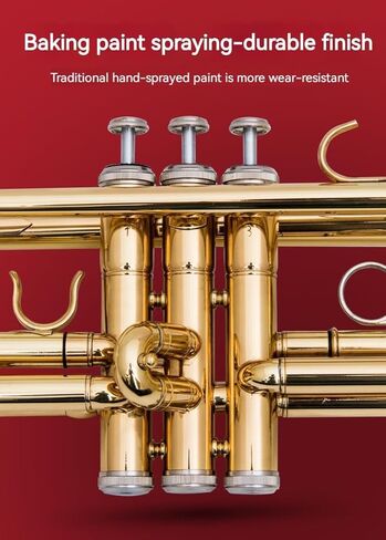 آلة البوق الموسيقية الذهبية المسطحة ب، فرقة البوق الاحترافية ثلاثية النغمات تعزف الآلات الموسيقية الغربية مع بدلة صيانة الصندوق in Kuwait