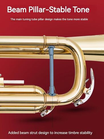 آلة البوق الموسيقية الذهبية المسطحة ب، فرقة البوق الاحترافية ثلاثية النغمات تعزف الآلات الموسيقية الغربية مع بدلة صيانة الصندوق in Kuwait