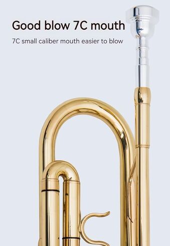 آلة البوق الموسيقية الذهبية المسطحة ب، فرقة البوق الاحترافية ثلاثية النغمات تعزف الآلات الموسيقية الغربية مع بدلة صيانة الصندوق in Kuwait