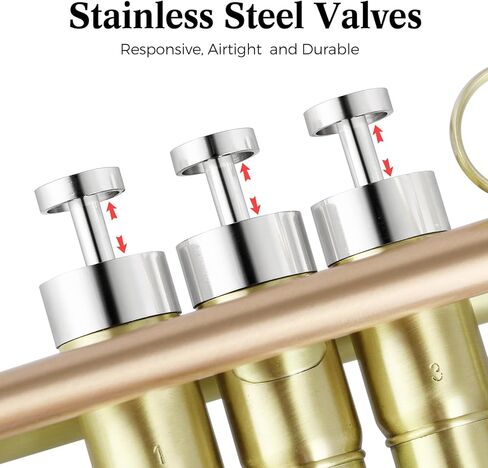 ROWELL Trumpet Standard Bb Trumpet Set Professional Trumpets Brass Trumpets for Beginners with Deluxe Hand Case,Gloves,7C Mouthpiece (Antique Finished) in Kuwait