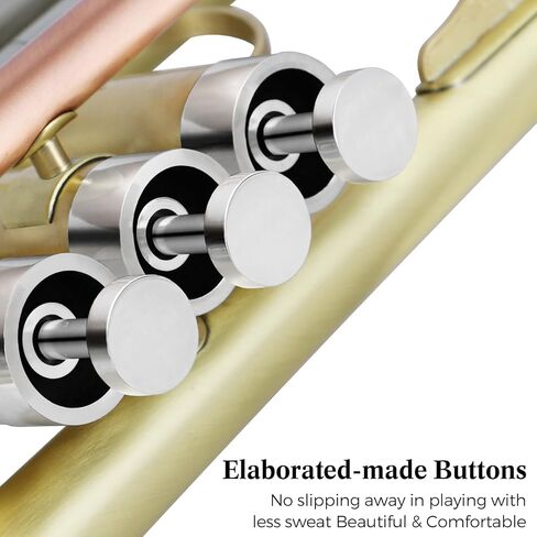 ROWELL Trumpet Standard Bb Trumpet Set Professional Trumpets Brass Trumpets for Beginners with Deluxe Hand Case,Gloves,7C Mouthpiece (Antique Finished) in Kuwait