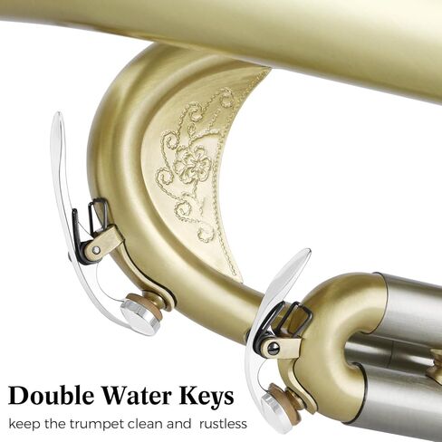 ROWELL Trumpet Standard Bb Trumpet Set Professional Trumpets Brass Trumpets for Beginners with Deluxe Hand Case,Gloves,7C Mouthpiece (Antique Finished) in Kuwait