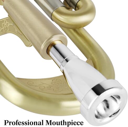 ROWELL Trumpet Standard Bb Trumpet Set Professional Trumpets Brass Trumpets for Beginners with Deluxe Hand Case,Gloves,7C Mouthpiece (Antique Finished) in Kuwait