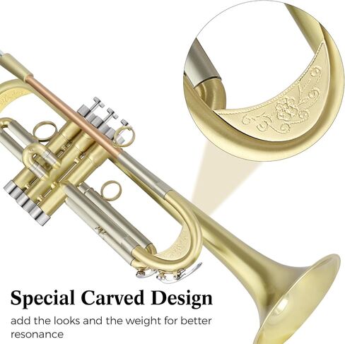 ROWELL Trumpet Standard Bb Trumpet Set Professional Trumpets Brass Trumpets for Beginners with Deluxe Hand Case,Gloves,7C Mouthpiece (Antique Finished) in Kuwait