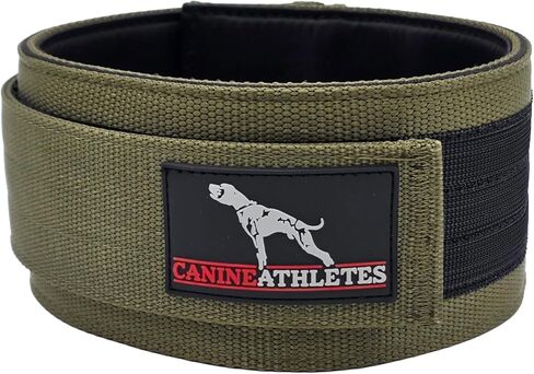 3 '' Elite-Hd مرجحة من طوق الكلاب العاملة (5 رطل ، وردي ساخن) in Kuwait