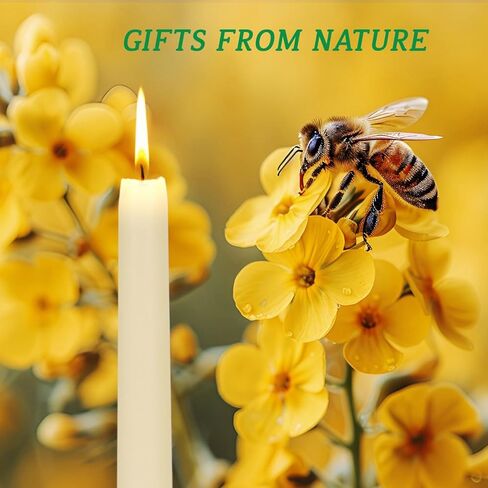 شموع مستدقة من شمع النحل الأخضر مقاس 20.32 سم، 4 عبوات من أعواد شموع مدببة من شمع النحل الطبيعي - بدون دخان، بدون قطرات وغير معطرة - وقت حرق طويل لمدة 8 ساعات لديكور المنزل، وحفلات الزفاف، والحفلات in Kuwait