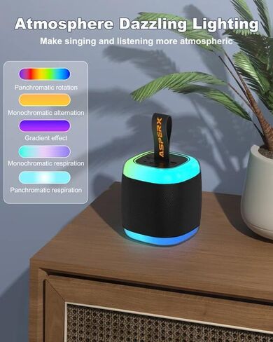 Mini Karaoke Speaker with 2 Wireless Microphones,Voice Effects,Led Lights, Portable Singing Machine for Ages 3,4,5,6,7,8,9,10,11,12+ Years Old Girl Birthday Gift, Kids Karaoke Machine (Black) in Saudi Arabia