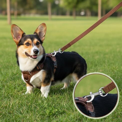 TIESOME 16 Pcs Swivel Eye Bolt Snap Hooks, 360° Rotating Zinc Alloy Clip for Pet Leash Flag Pole Tarp and Key Chain in Kuwait