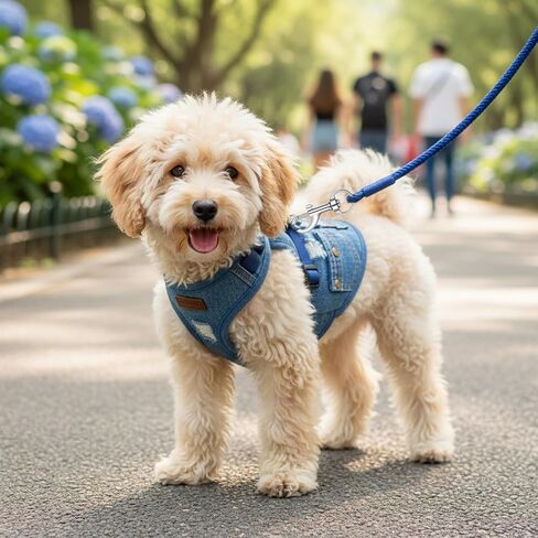 TIESOME 16 Pcs Swivel Eye Bolt Snap Hooks, 360° Rotating Zinc Alloy Clip for Pet Leash Flag Pole Tarp and Key Chain in Kuwait