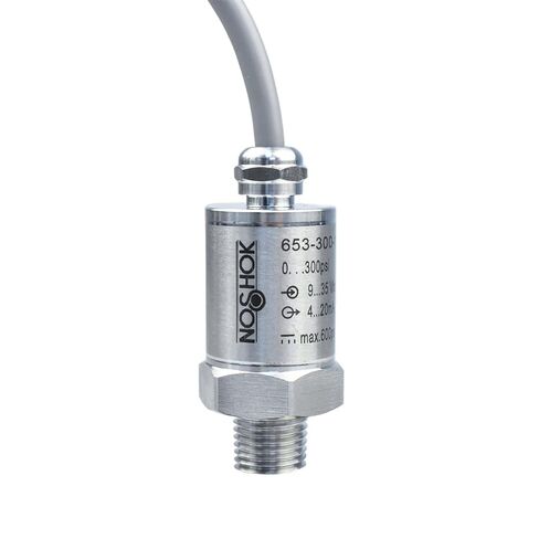 Pressure Transmitter, 0 psi to 30 psi, 0.5% (BFSL) Accuracy, 4 mA to 20 mA 2 Wire Output Signal, 1/4" NPT Process Connection, 18" Integral Cable in Kuwait
