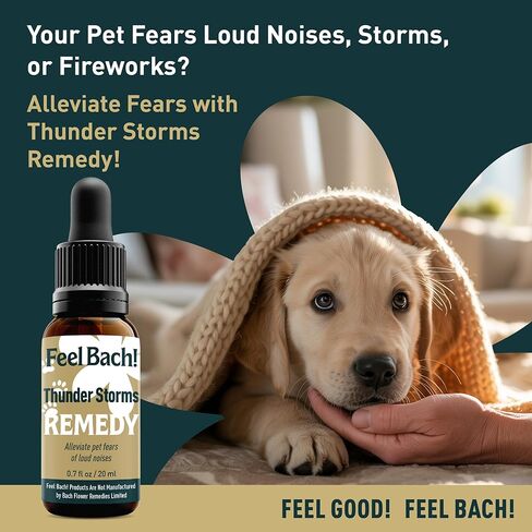Feel Bach! Sweet Dreams #2 Remedy - Natural Homeopathic Flower Essences for Restful Sleep & Emotional Tension - Reduces Fatigue Vegan, Gluten & Sugar-Free, Non-Habit Forming, 20ml (0.7 fl oz) in Saudi Arabia