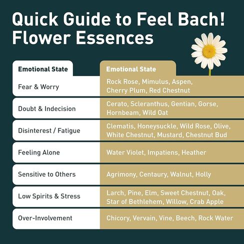 Feel Bach! Sweet Dreams #2 Remedy - Natural Homeopathic Flower Essences for Restful Sleep & Emotional Tension - Reduces Fatigue Vegan, Gluten & Sugar-Free, Non-Habit Forming, 20ml (0.7 fl oz) in Saudi Arabia