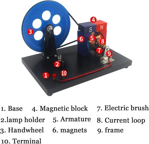 VERIMP Hand-Crank AC and DC Generator Model Physics Faraday Hand-Crank Generator Electromagnetic Electricity Generation Teaching Instrument Hand Cranked AC and DC Generators Wooden Bottom Plate in Kuwait