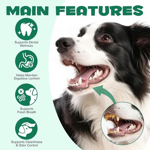 الفحم المنشط من AIQIUSHA للكلاب والقطط، 120 جم مسحوق الفحم النقي للحيوانات الأليفة والماشية - دعم الجهاز الهضمي اليومي، يساعد في الحفاظ على البراز الطبيعي، مكون واحد، غير معدل وراثيًا، خالي من الغلوتين in Kuwait