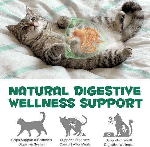 الفحم المنشط من AIQIUSHA للكلاب والقطط، 120 جم مسحوق الفحم النقي للحيوانات الأليفة والماشية - دعم الجهاز الهضمي اليومي، يساعد في الحفاظ على البراز الطبيعي، مكون واحد، غير معدل وراثيًا، خالي من الغلوتين in Kuwait