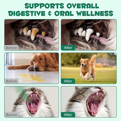 الفحم المنشط من AIQIUSHA للكلاب والقطط، 120 جم مسحوق الفحم النقي للحيوانات الأليفة والماشية - دعم الجهاز الهضمي اليومي، يساعد في الحفاظ على البراز الطبيعي، مكون واحد، غير معدل وراثيًا، خالي من الغلوتين in Kuwait