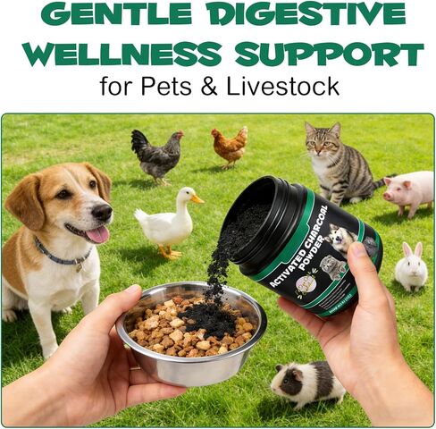 الفحم المنشط من AIQIUSHA للكلاب والقطط، 120 جم مسحوق الفحم النقي للحيوانات الأليفة والماشية - دعم الجهاز الهضمي اليومي، يساعد في الحفاظ على البراز الطبيعي، مكون واحد، غير معدل وراثيًا، خالي من الغلوتين in Kuwait