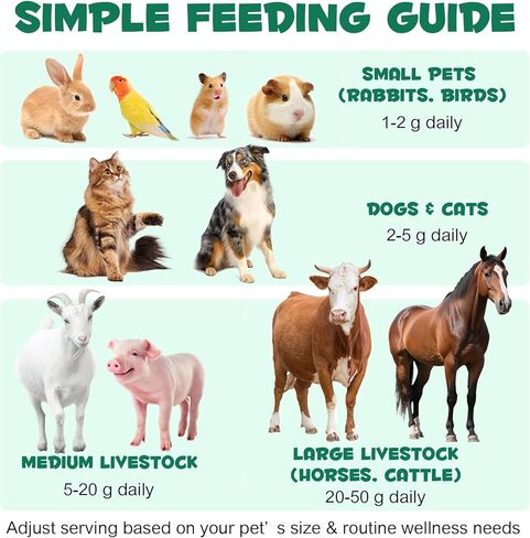 الفحم المنشط من AIQIUSHA للكلاب والقطط، 120 جم مسحوق الفحم النقي للحيوانات الأليفة والماشية - دعم الجهاز الهضمي اليومي، يساعد في الحفاظ على البراز الطبيعي، مكون واحد، غير معدل وراثيًا، خالي من الغلوتين in Kuwait