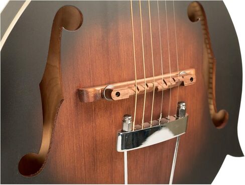 Goldtone F-6 Long Scale Cutaway Manditar Mando-Guitar مع علبة وموالف وكابل in Saudi Arabia