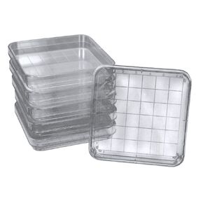 Polystyrene Square Integrid Petri Dish, Pack of 10 in Saudi Arabia