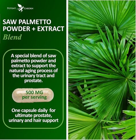 Potent Garden Saw Palmetto 500 mg - مكملات البروستاتا للرجال - يدعم تردد وتدفق التبول الصحي - غير معدل وراثيًا، 100 كبسولة بالميتو المنشاري in Kuwait