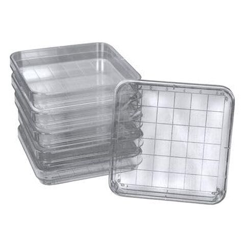 Polystyrene Square Integrid Petri Dish, Pack of 10 in Saudi Arabia