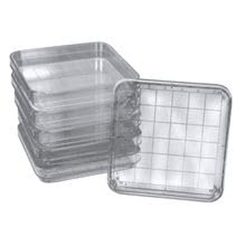 Polystyrene Square Integrid Petri Dish, Pack of 10 in Saudi Arabia