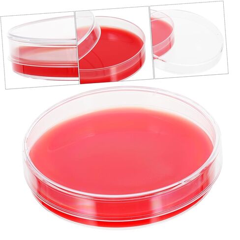 10Pcs Agar Plates Culture Dishes for Labs Agar Medium for Staphylococcus and Streptococcus Testing for Medical and Industrial Use in Kuwait