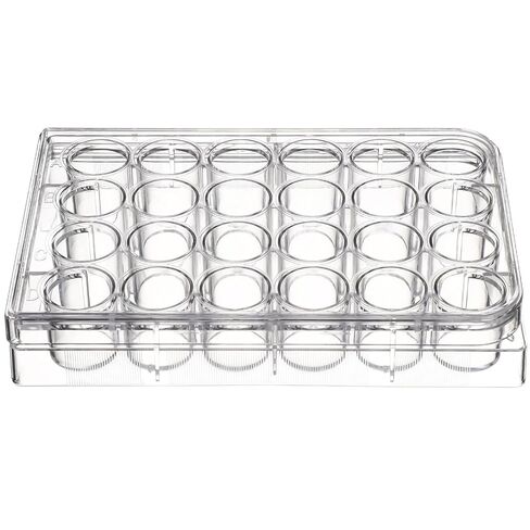 POPETPOP 24-Well Clear Polystyrene Cell Culture Plate with Lid 4.92X3.35X0.79 Inches Multipurpose Lab Dish for Tissue Culture and Storage in Kuwait