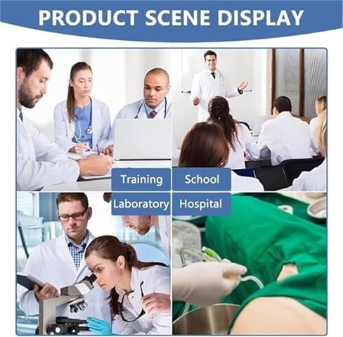 Male and Female Genital Duct Models Suitable for Clinical Teaching in Medicine. in Kuwait