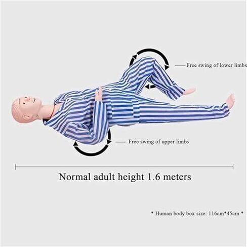 محاكي رعاية المرضى متعدد الوظائف، نموذج التشريح البشري للتدريب الطبي على التمريض مع 24 عملية تمريض أساسية in Kuwait