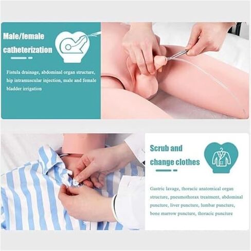 محاكي رعاية المرضى متعدد الوظائف، نموذج التشريح البشري للتدريب الطبي على التمريض مع 24 عملية تمريض أساسية in Kuwait