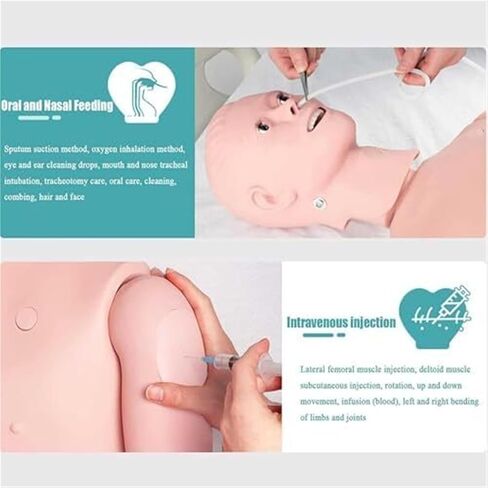 محاكي رعاية المرضى متعدد الوظائف، نموذج التشريح البشري للتدريب الطبي على التمريض مع 24 عملية تمريض أساسية in Kuwait