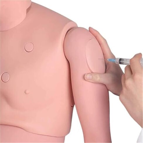 محاكي رعاية المرضى متعدد الوظائف، نموذج التشريح البشري للتدريب الطبي على التمريض مع 24 عملية تمريض أساسية in Kuwait