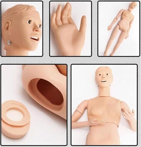 محاكي رعاية المرضى متعدد الوظائف، نموذج التشريح البشري للتدريب الطبي على التمريض مع 24 عملية تمريض أساسية in Kuwait