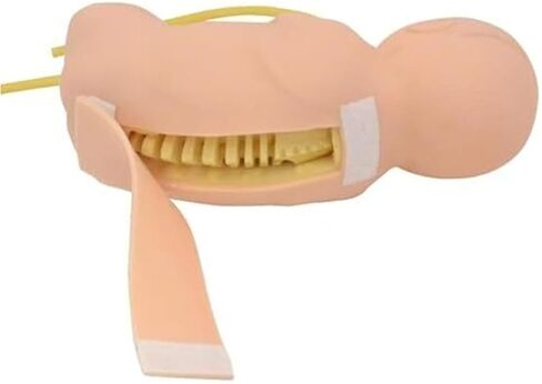 نموذج البزل القطني لحديثي الولادة، أداة تعليمية عملية للأطباء والممرضات in Kuwait