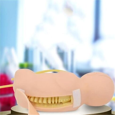 نموذج البزل القطني لحديثي الولادة، أداة تعليمية عملية للأطباء والممرضات in Kuwait