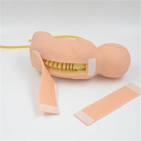 نموذج البزل القطني لحديثي الولادة، أداة تعليمية عملية للأطباء والممرضات in Kuwait