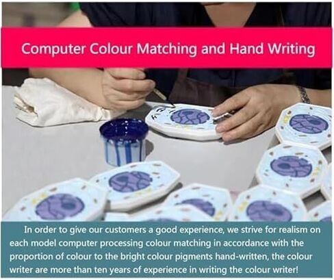 نماذج الانقسام والانقسام الاختزالي في الخلايا الحيوانية والنباتية، تصنيف هياكل الخلايا، البحوث البيولوجية، لوازم المختبرات in Kuwait