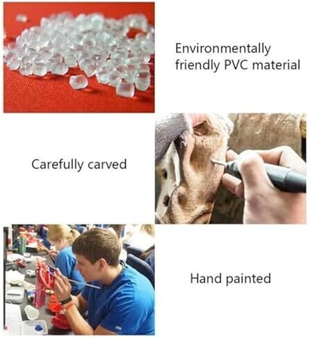 Canine Ear Model Pathology Animal Organ Biological Anatomy Specimen Medical Education and Training Auxiliary Tool in Kuwait