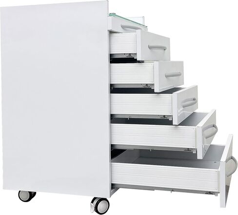Vertical Mobile Dental Cart with Lock 5-Drawer Stainless Steel Medical Storage Cabinet on Rolling Wheels with Brakes Portable Utility Cart for Dental Assistant Hospital Clinic Office Home Use in Kuwait