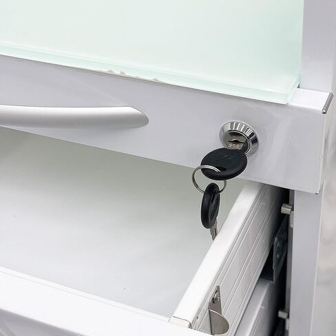 Vertical Mobile Dental Cart with Lock 5-Drawer Stainless Steel Medical Storage Cabinet on Rolling Wheels with Brakes Portable Utility Cart for Dental Assistant Hospital Clinic Office Home Use in Kuwait