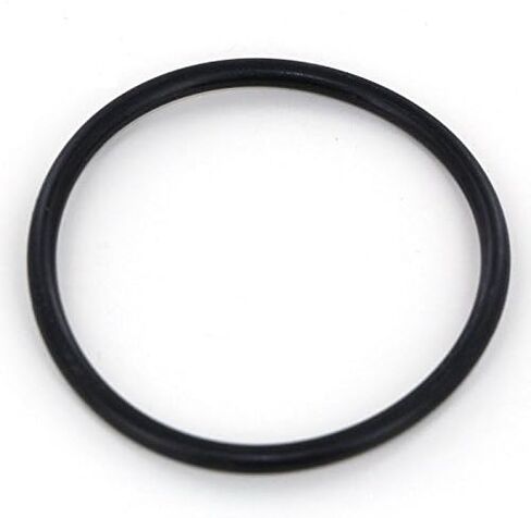 Hypro 3350-0058A Polypropylene Line Strainer with 1700-0092 O-Ring and 3800-0040 Screen 20 Mesh (Bundle, 3 Items) in Saudi Arabia