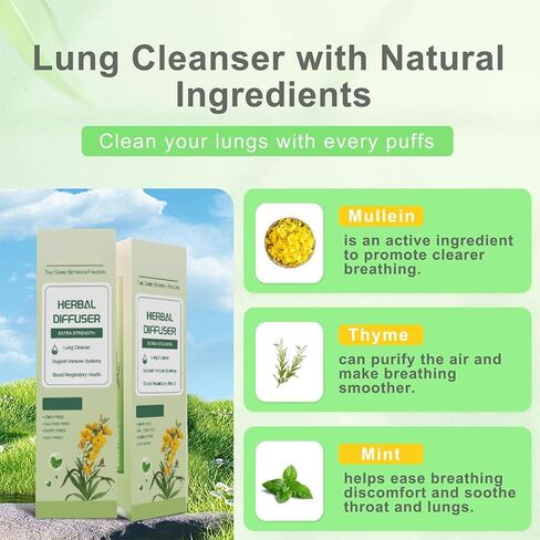 WENEW Mullein Herbal Diffuser Pen with Extracts of Mullein,Thyme and Mint for Lung Detox and Oral Air Freshening - 2 Stick in Kuwait