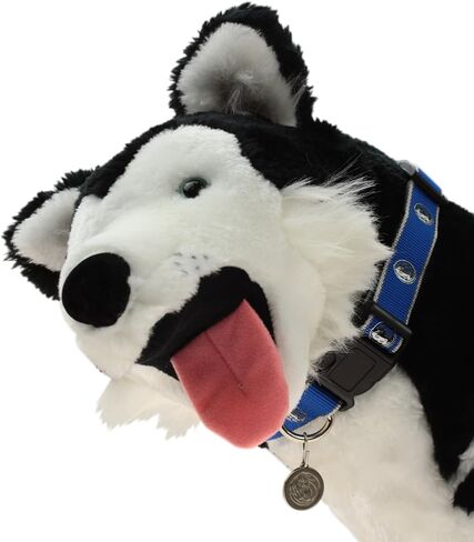 NBA Reflective Dog Collar, Dallas Mavericks Medium/Large in Kuwait