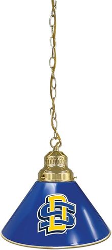 HBS South Dakota State University Single Shade Pendant Light in Saudi Arabia