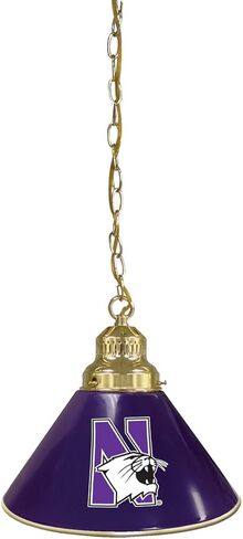 HBS Northwestern University Single Shade Pendant Light in Saudi Arabia