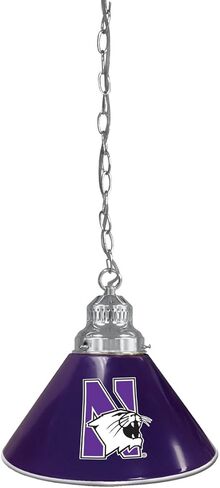 HBS Northwestern University Single Shade Pendant Light in Saudi Arabia