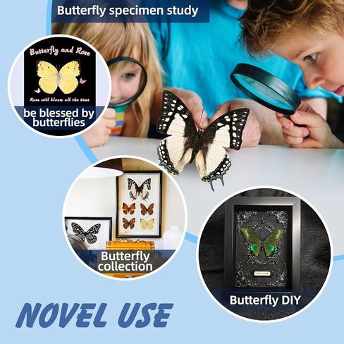 15 pcs of Real Dried Dead Butterflies with Spread Wings Shaped, Natural unmounted Butterfly specimens for Art, Decorations, Taxidermy and Gifts for Kids and Family in Kuwait