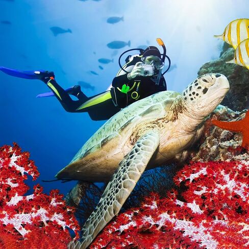 Scuba Regulator Mouthpiece Cover with Clip for Diving & Snorkeling, Protect Against Dirt Sand Debris, Easy to Attach Remove, Ideal Dive Gear Accessory PVC Octopus Holder Retainer Dust Protector Cap in Kuwait